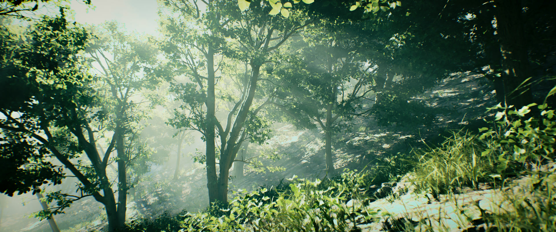 Open World PCG
